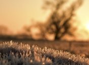 Украинцам пообещали самый теплый январь за последние годы