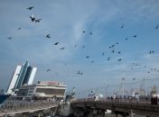 Одесские пляжи прошли проверку экологической инспекции