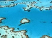 Невозможное возможно: кораллы научились восстанавливаться