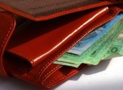 Дополнительные средства на зарплату ВР выделит уже в среду