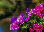 Какие завтра праздники: традиции и приметы на 2 июля