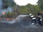 На Днепропетровщине к тушению лесного пожара привлекли авиацию ГСЧС