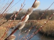 Прогноз погоды на 8 марта: переменная облачность и без осадков