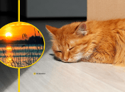 Жара скоро спадет