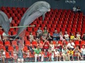 Дельфинарий Феста (Фото, видео)