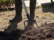 Сделайте это - и соберете втрое больший урожай