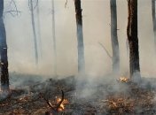 Открытого горения на месте пожара в Херсонской области нет