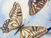 Знаменательные события в истории: 3 декабря 2015