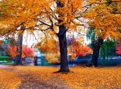 Осень на озере