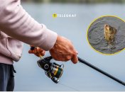 Карп будет клевать, если прикормите его этим