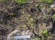 В Харьковской области мужчина подорвался на снаряде времен Второй мировой войны