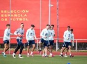 Словакия - Испания: букмекеры не дают шансов "хозяевам" на Евро-2020