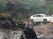 Проливные дожди обрушились на Индию: есть погибшие, тысячи людей эвакуированы