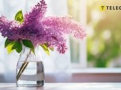 Бузок — це не просто красивий квіт, але й потужний лікар і помічник