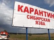 Сибирская язва в Одесской области: Нацгвардия оцепила село, ищут больных 