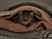 Любимая вещь прослужит еще долго