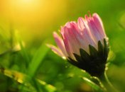 12 сентября. Приметы дня