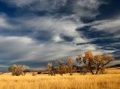 Приметы и обряды на 5 сентября - Луп-брусничник