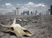 Для остановки волны вымирания животных требуется улучшение баз данных