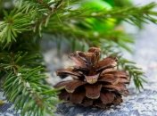 Какой праздник 22 декабря: народные приметы и запреты