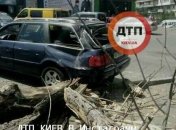 В Киеве на авто упало дерево, пострадала 12-летняя девочка