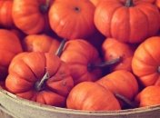 Полезные свойства тыквы