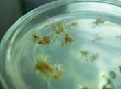 В МОН отчитались о росте расходов на науку за два года