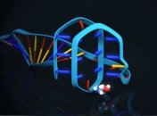 Ученые создали универсальный сенсор на аптамерах