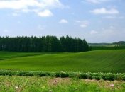 Мартынюк сообщил, когда в Раду подадут законопроект о земельной реформе