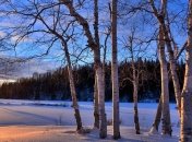 16 декабря - приметы и обряды в День Иоанна Молчальника