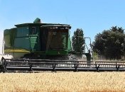 Экспорт зерновых значительно вырос: детали