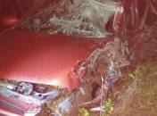 ДТП в Харьковской области: один человек погиб, еще один в тяжелом состоянии (Фото)