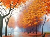 Прогноз погоды в Украине на 26 октября: ожидаются небольшие дожди 