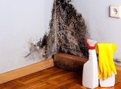 Как отмыть стены от плесени