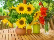 28 августа. Приметы дня