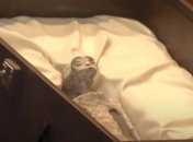 Тело якобы инопланетянина из Перу