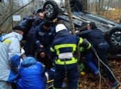 Под Чернобылем из-за дикого животного произошло ДТП: фото и видео