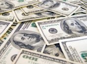 Полиция Венесуэлы нашла тайник с кокаином и полумиллионом долларов