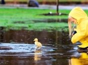 Прогноз погоды в Украине 26 мая: преимущественно дожди 