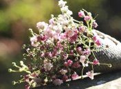 Ипатий Чудотворец: народные поверья и приметы на 13 апреля