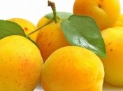 Абрикос самый полезный фрукт для детей и женщин