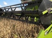 Минагропрод: 82% площади озимых в хорошем состоянии