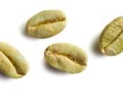 Зеленый кофе снизит уровень сахара в крови