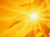 Как пережить жару?