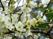 Прогноз погоды в Украине на 18 апреля: солнечно и ясно