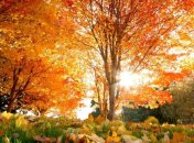 4 октября. Приметы дня