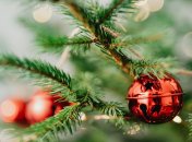 Живая елка наполнит комнату приятным ароматом