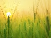 23 травня: яке сьогодні свято і що не можна робити в цей день