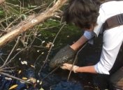 В Канаде ученые обнаружили необычную находку