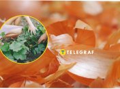 Цибулиння — скарб для городу